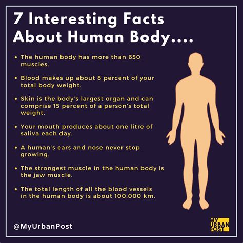 Fun Facts About The Human Body
