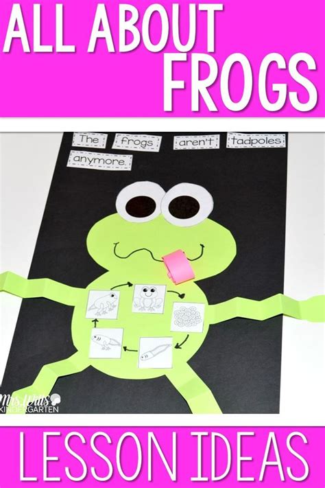 Fun Frog Lesson Plans For Kindergarten And First Frogs Kindergarten - Frogs Kindergarten