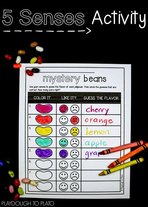 Fun Jelly Beans 5 Senses Activities For Preschoolers 5 Senses Science Experiment - 5 Senses Science Experiment