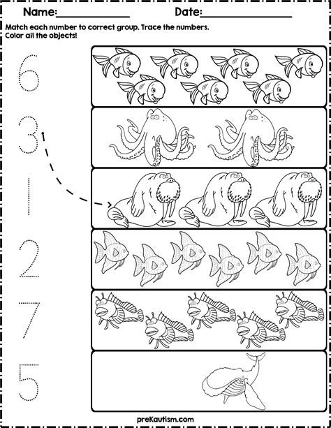 Fun Ocean Animal Math And Writing Worksheets For Introduction To Animals Worksheet Key - Introduction To Animals Worksheet Key