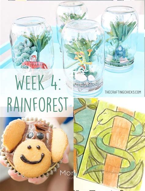 Fun Rainforest Science Experiments Sciencing Jungle Science Activities For Preschoolers - Jungle Science Activities For Preschoolers