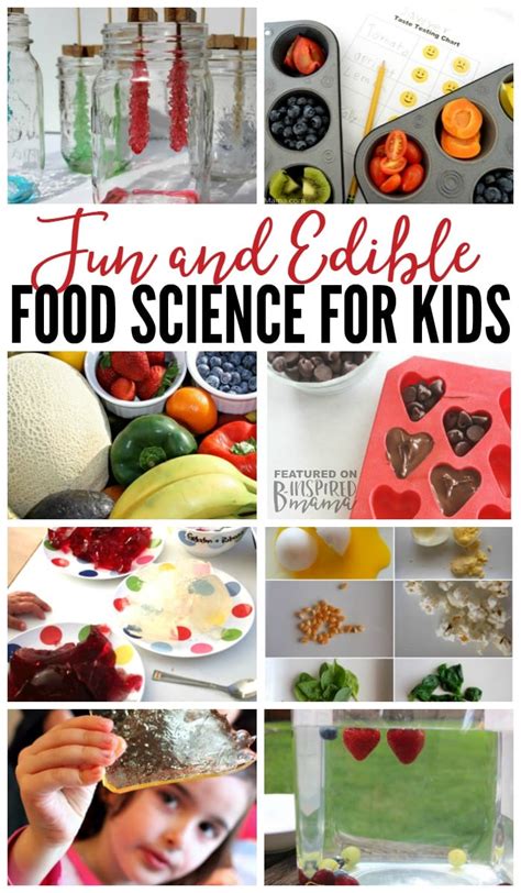 Fun Science Experiments With Food You Can Easily Science Experiment With Food - Science Experiment With Food