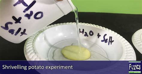 Fun Science Experiments With Potatoes Sciencing Potato Science Experiment - Potato Science Experiment