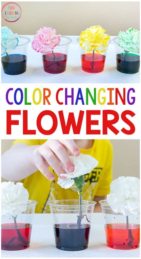 Fun Spring Stem Science Projects For 1st Graders Science Lesson First Grade - Science Lesson First Grade