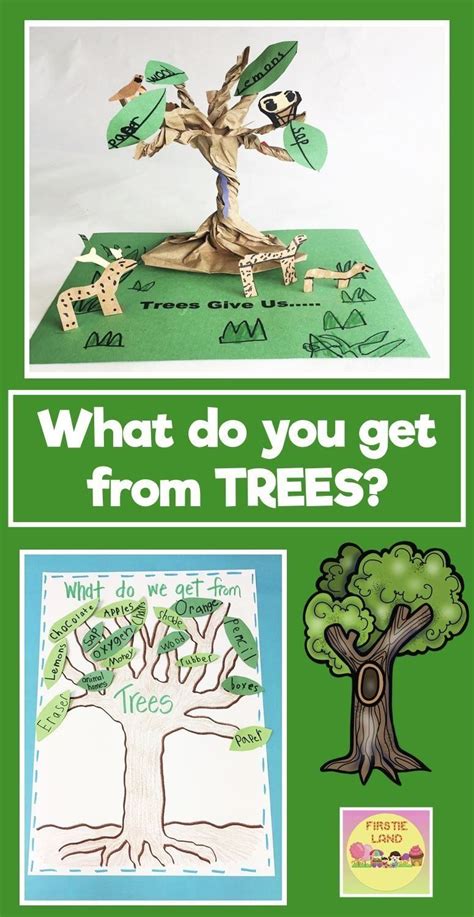 Fun Things To Learn About Tree Rings With Kindergarten Rings - Kindergarten Rings