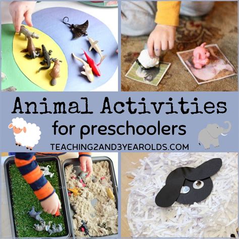 Fun Toddler And Preschool Animal Activities Teaching 2 Preschool  Animal Science Activities - Preschool, Animal Science Activities