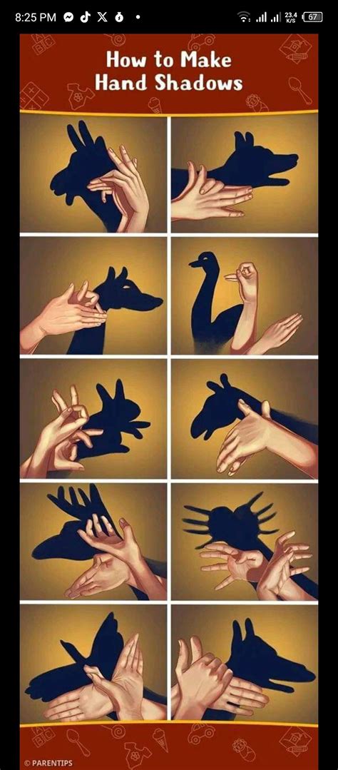 Fun With Hand Shadows Step By Step Instructions Fo