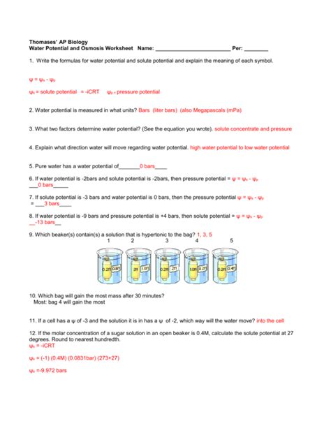 Fun With Water Potential Answer Key