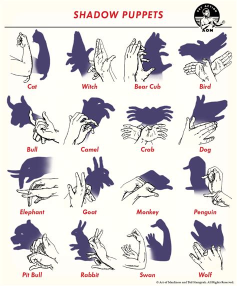Full Download Fun Hand Shadows For Kids 30 Hand Shadow Puppets With Easy To Follow Illustrations 