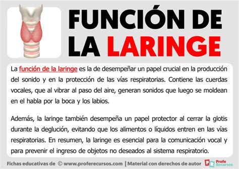 Funcion De La Laringe