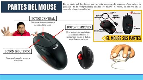 Funcion Del Mouse