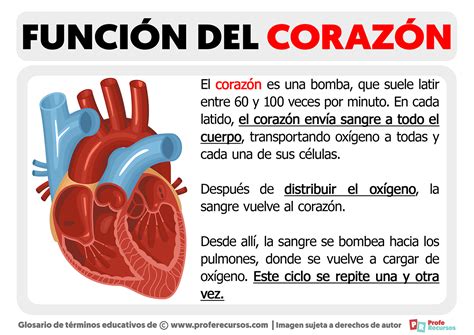 Funciones De Un Amor