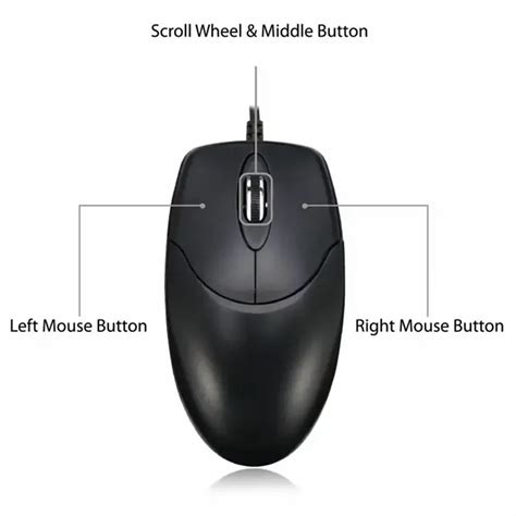 Function Of Mouse