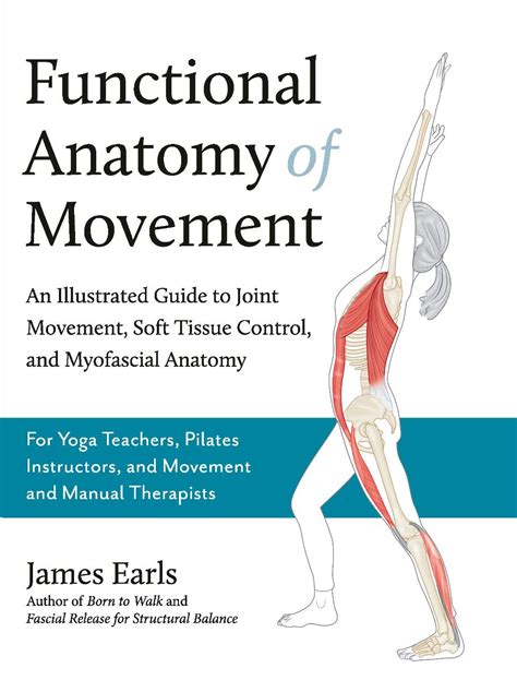 Functional Anatomy Manual Of Structural Kinesiology
