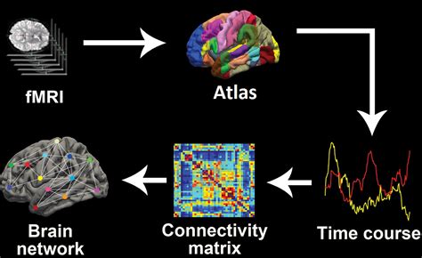 functional connectivity fmri software