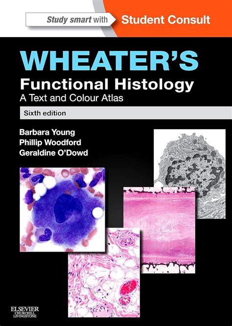 Functional Histology