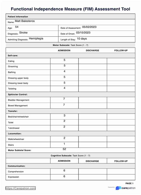 Functional Independence Measure Score Sheet