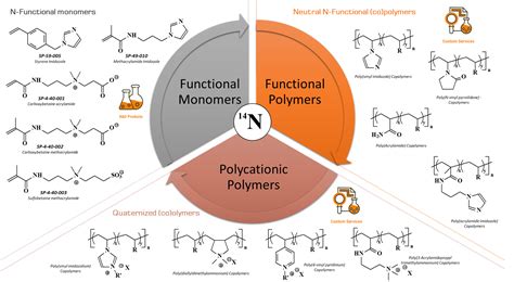 Functional Monomers And Polymers Procedures Synthesis Applications