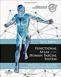 Full Download Functional Atlas Of The Human Fascial System 1E 