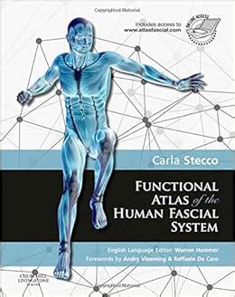 Full Download Functional Atlas Of The Human Fascial System 1E 