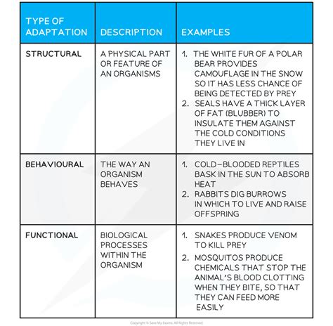 functions of animals adaptations answer key