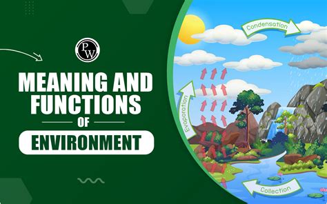 Functions Of Environment