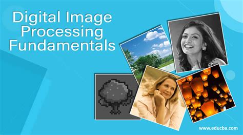 Fundamentals Of Digital Image Processing Anil K Jain Solution Manual