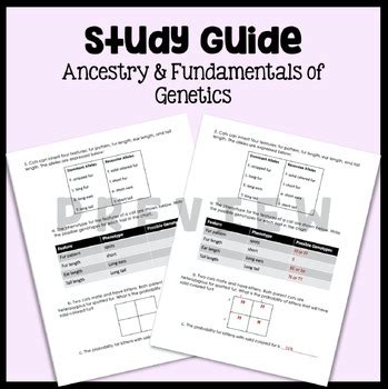 Fundamentals Of Genetics Study Guide Answers