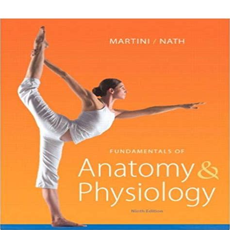 Read Online Fundamentals Of Anatomy And Physiology 9Th Edition Test Bank 