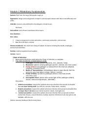 Full Download Fundamentals Of Phlebotomy Study Guide 