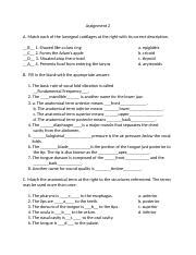 Full Download Fundamentals Of Phonetics Assignment Answers For 