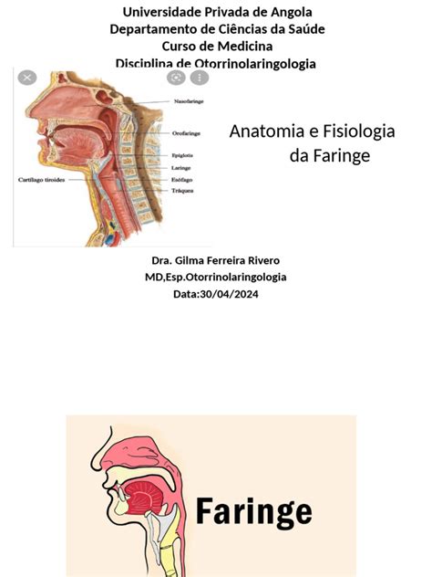 Funções Da Faringe