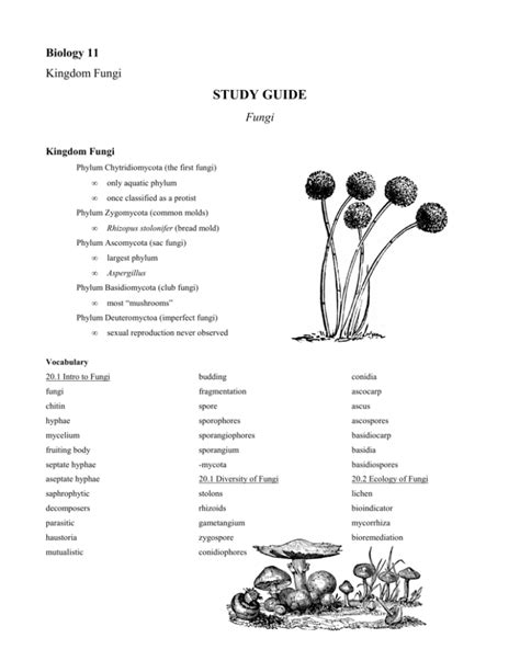 Read Fungi Study Guide 