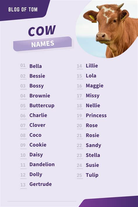 Funny Cattle Names