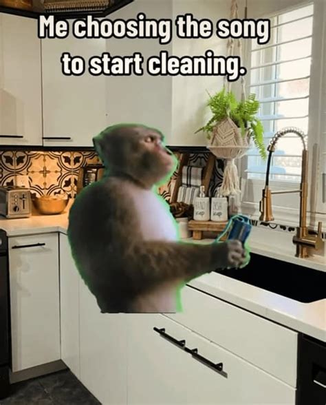 Funny Cleaning Memes