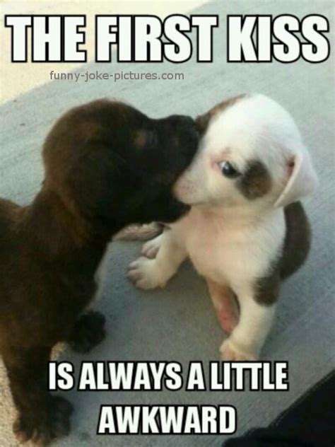 funny dog kissing quotes