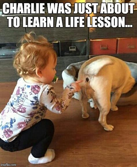 funny memes about life lessons