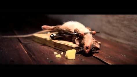 funny mouse nolan cheese commercial