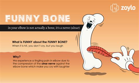 funny bone