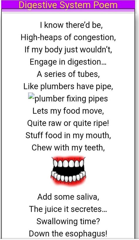 Read Online Funny Poems About Digestive System 