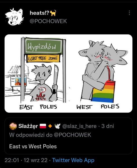 furry hunting in Poland : memes - Reddit