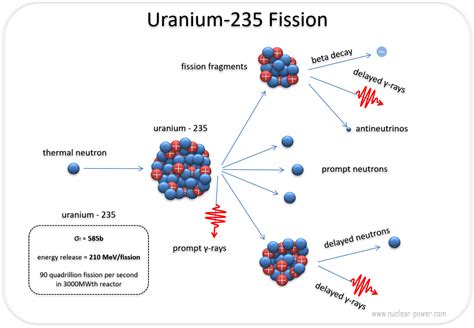 fusion isotope dating