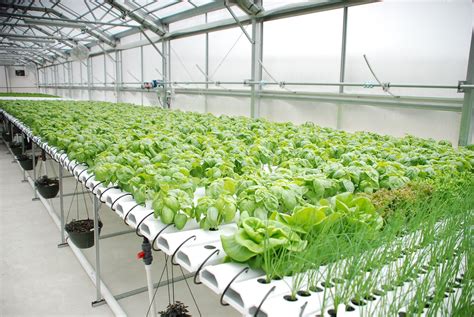Read Online Future Farms Hydroponic Agriculture 