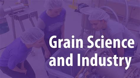 Read Future Of Grain Science Series Future Of Grain Science Italy 