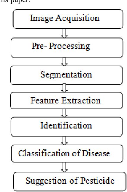 Fuzzy Logic Based Sugarcane Leaf Disease Identification
