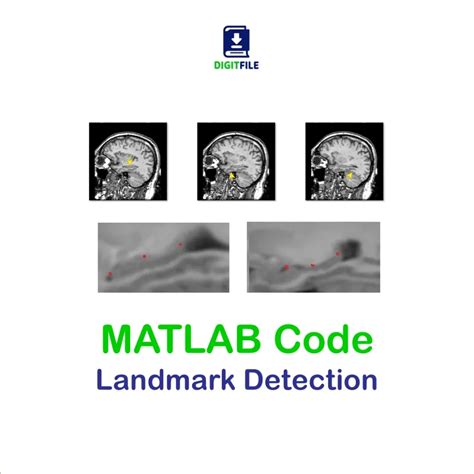 fuzzy svm matlab code