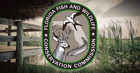 fwc florida