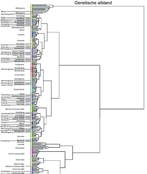 fylogenetische analyse definitie