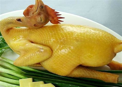 gà vàng.link | g vng link trc tip bng