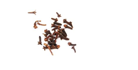 går  detta  nyttja vanligt  krydda  nära fixering